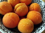 مشمش , Abrecoquera , Aprikozes
